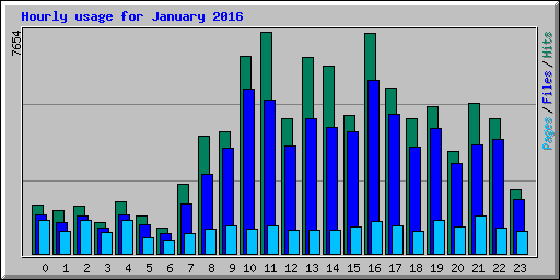 Hourly usage for January 2016