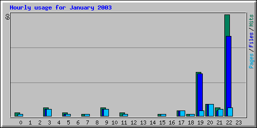 Hourly usage for January 2003